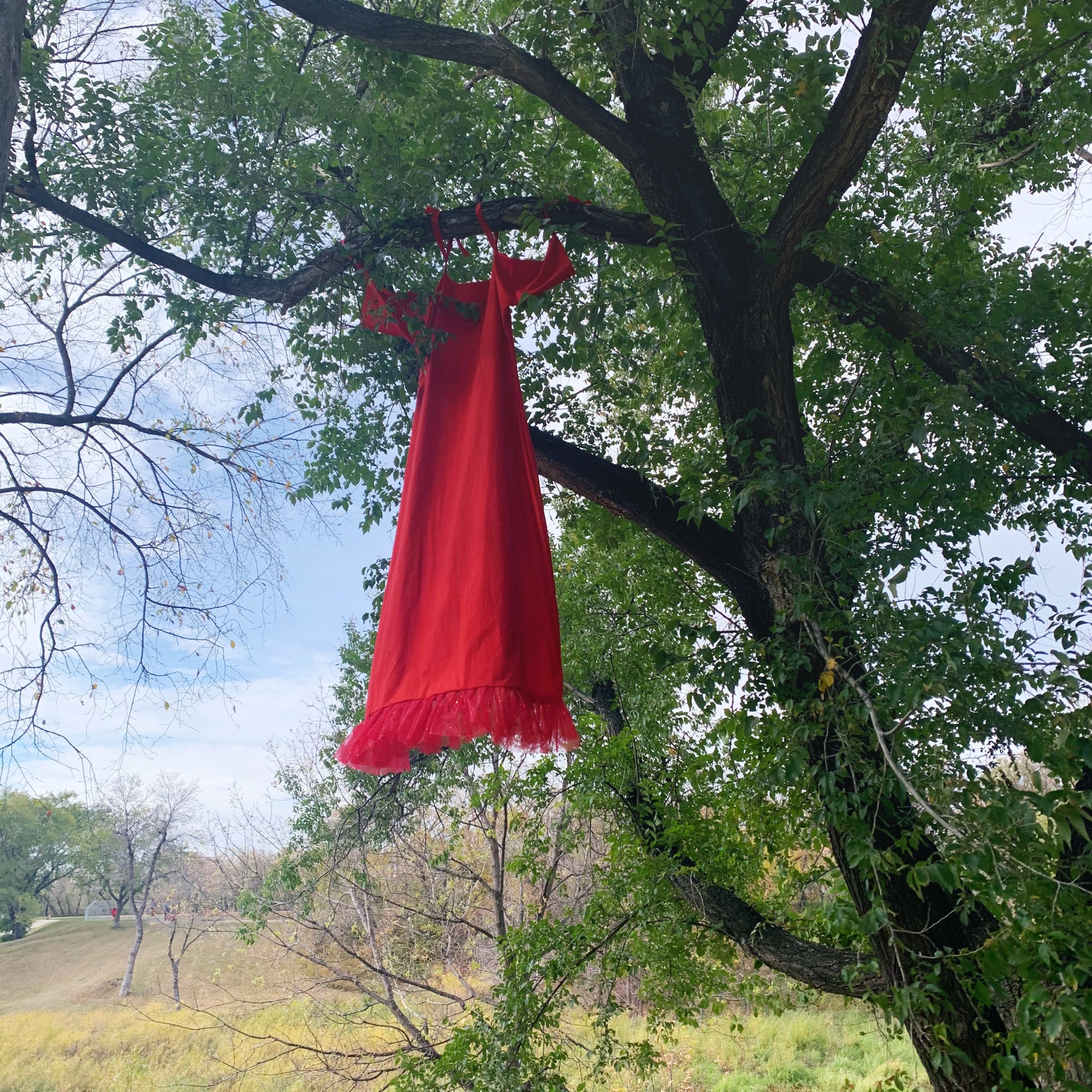 Today I hung this red dress I made for #reddresswpg