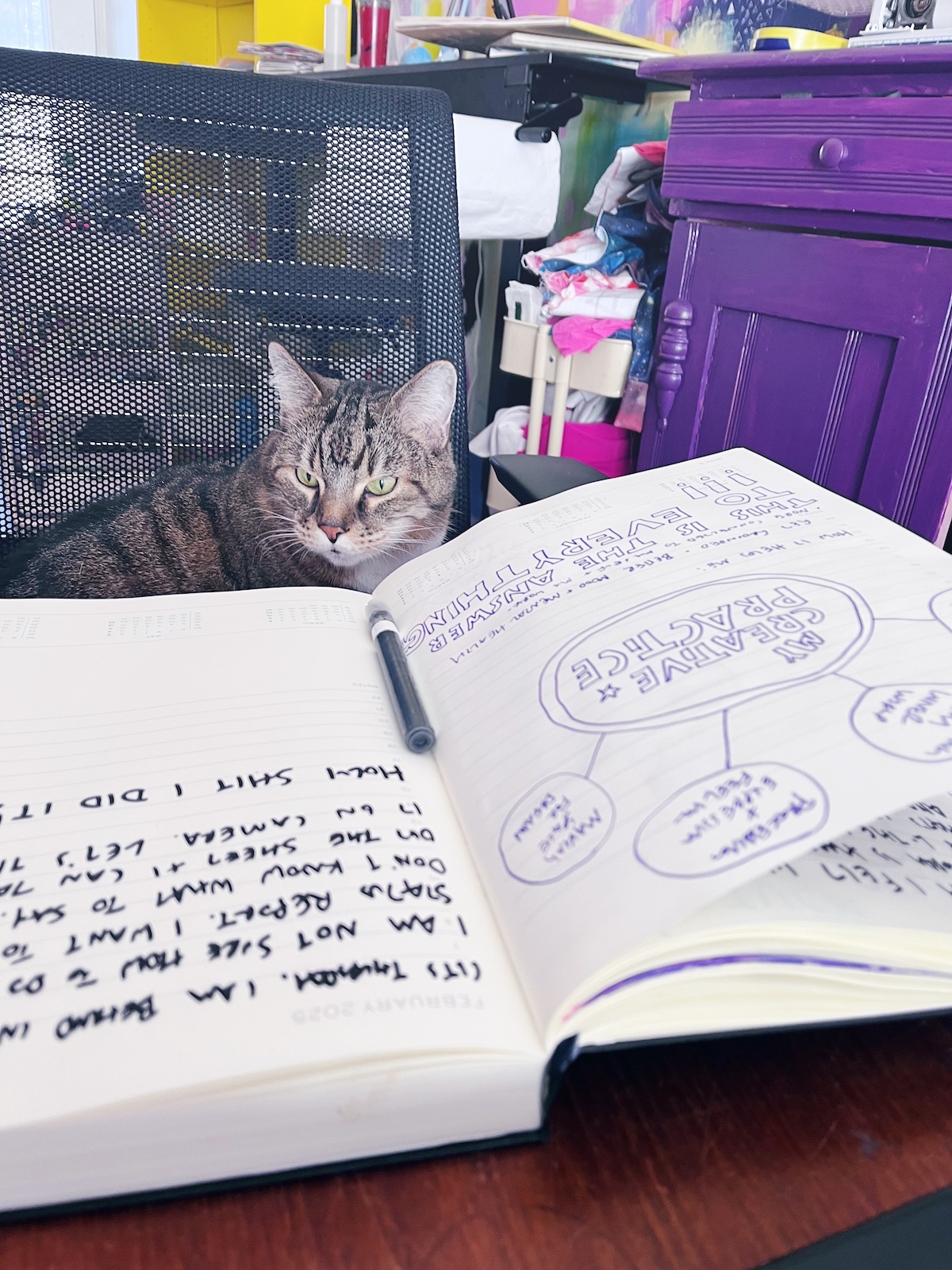 Can you find the teeny tiniest step to start with? [Weekly Dream Status Report]